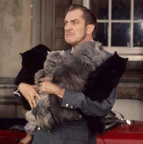 airyairyaucontraire:blueruins:Vincent Price