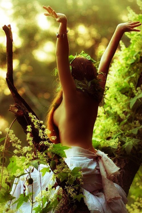 thelandofpleasure:  Buongiorno mondo..