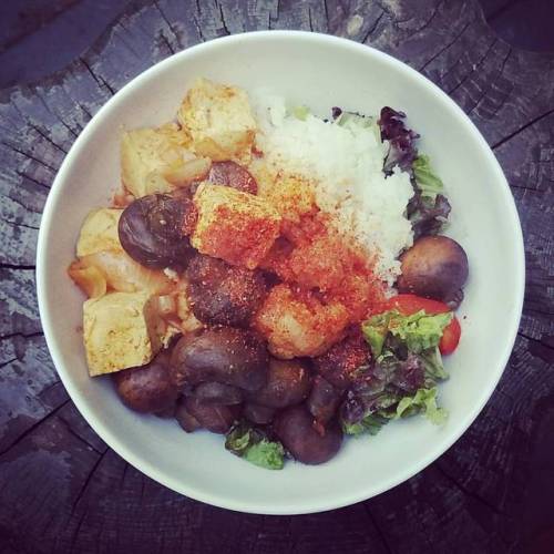 Mushroom cauliflower curry #vegan #veganfood #veganfoodshare #food #rice #ricebowl #buddhabowl #cur