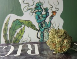 veraisastoner:  indica-lungs:  A different kind of Lucky Charms in the morning.  fucking gorgeous nug