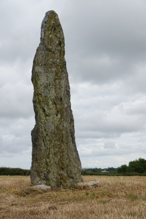 Ty Gwyn Standing Stone, Llandegfan, Anglesey, 30.7.17. This single standing stone is substantial an