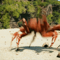 Crab Rave Stimboard !