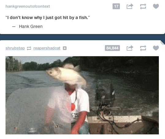 edwardspoonhands:  rustedcrimson:  This just happened on my dashboard. It’s almost