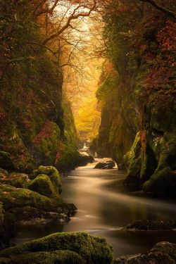 renamonkalou:  Fairy Glen Gorge, River Conwy