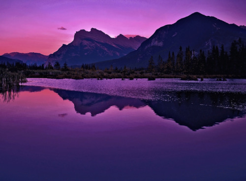 90377: Mt Rundle sunrise by bob