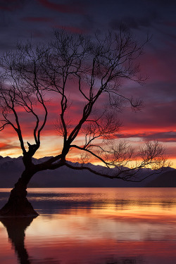 sundxwn:  The Restless Spirit. by Darren