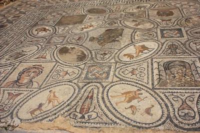 Volubilis, Mosaic, Morocco