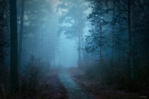 celtic-forest-faerie:  {Deep Silence} by {M-eralp}