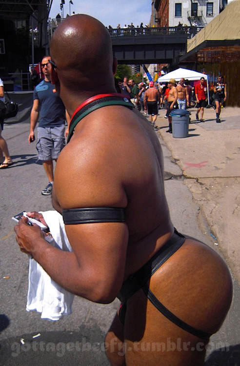 Black Ass Collection