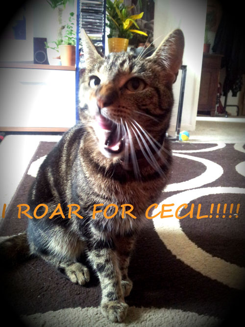 Taka-chan is roaring all night for ceci!!rest in peace big beautifull lion ..