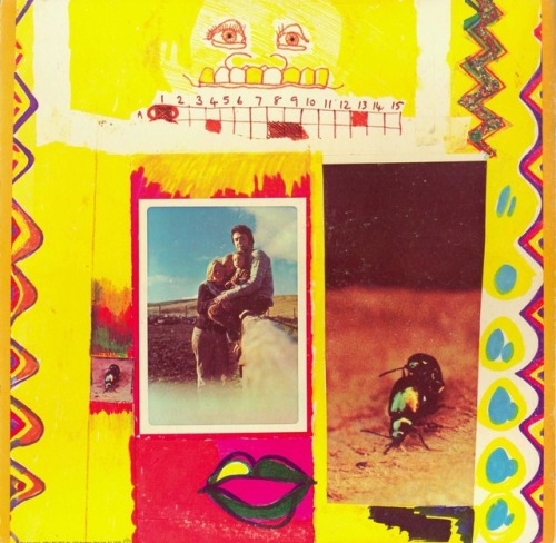 In the interior cover of his second solo album, Ram (1971), Paul McCartney included a photo of a bee