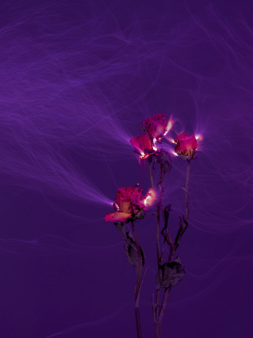 ultraviolet&ndash;violet: this happens when electricity passes through flowers