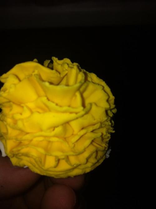 sweetnothingsaustralia: A gumpaste carnation.