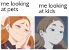 dankmemeuniversity: