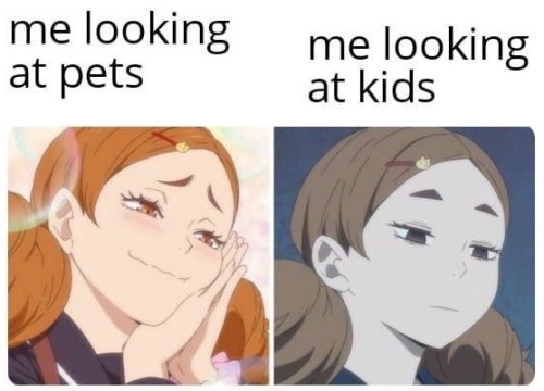 dankmemeuniversity: