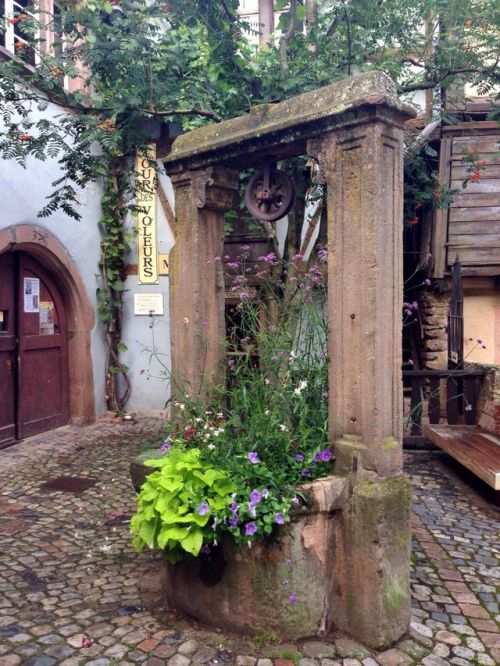 potatozilla: catcocoa: how is this town real Welcome in Alsace, where everything is so fucking cute 