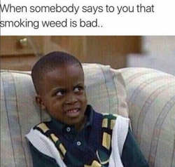 Weed Memes