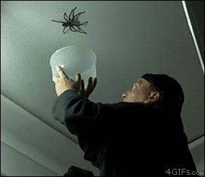 I’d be moving even fast than that