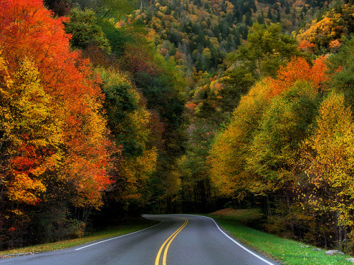 Fall Drive by MaryleeUSA on Flickr.