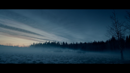 Second dream“The Revenant”, A.G. Iñarritu, 2015