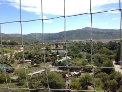 Went to the San Diego Safari Park with my partner in crime today as a birthday thing!! Road the balloon for the first time and damn was it worth it!  Also got a great shot of the prairie dog for once too :3