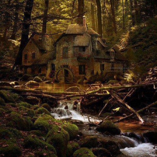 9gag:  Old Mill, Black Forest Germany 