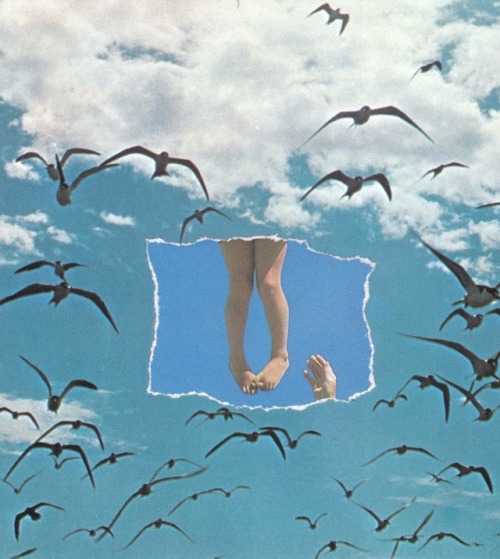 annalynnhammond:The Redemption Songs (a sequel to The End-Time Prophecies)Paper collages by Annalynn