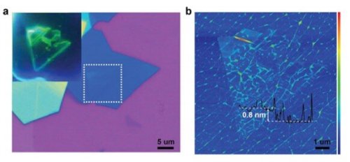  Giant gate-tunable bandgap renormalization and excitonic effects in a 2-D semiconductorInvestigatin