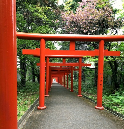 Fushimi Inari Jinja - Sapporo, Hokkaido by kobalt