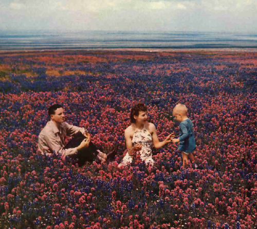 vlychee:   1950s