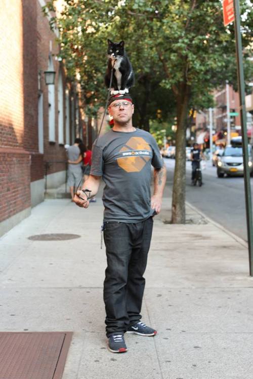 humansofnewyork:
““You can make about 75% more money with a cat on your head than you can with a cat on your shoulder.” ”