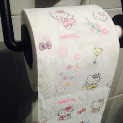 cheekylittlelioness:  buteternity:  ok now that i have hello kitty toilet paper i’m a happy kid  keeperofherheart 😳