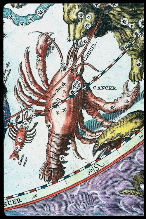 Andreas Cellarius, Harmonia macrocosmica, 1661. Amsterdam. Via LHL