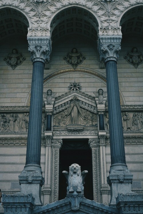 estarioll:  Lyon/2013
