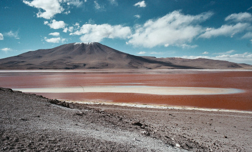 Red Means Dead [Salar de Uyuni, Bolivia, 2012]