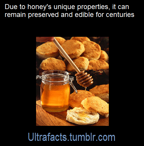 ultrafacts: Because of its unique composition and chemical properties, honey is suitable