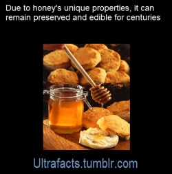 ultrafacts: Because of its unique composition