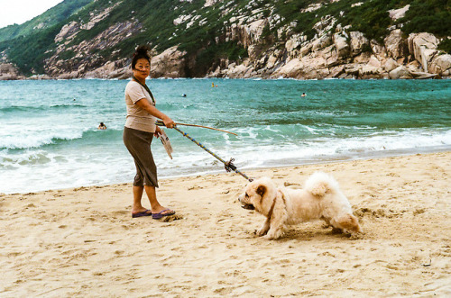 The year of Dog 2018, a Chinese New Year Celebration. 1. Sai Wan Pier, Hong Kong | Nov 20172. Kwun T