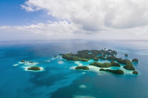 unicorn-meat-is-too-mainstream: Palau is an archipelago of about 250 islands, located in the western