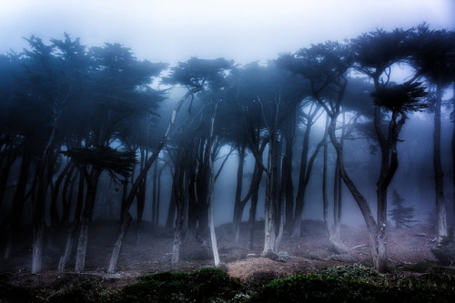 Tell me what’s in the mist by ericwagner on Flickr.