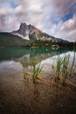 sublim-ature:  Emerald Lake, AlbertaSarah