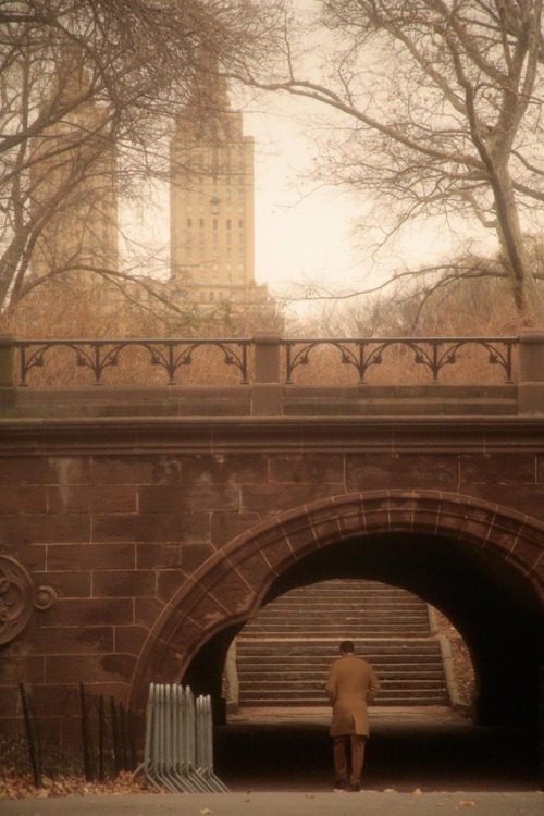 Robert Farber - ‘Under the Bridge’, Central Park, New York,