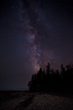 spacequakes:  just–space:  The Milky Way