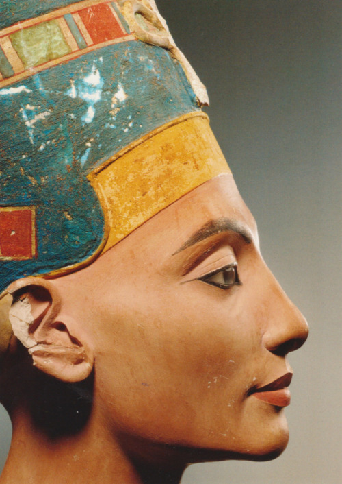 ancienthistories:  Bust of Queen Nefertiti; New Kingdom, 18th Dynasty, ca. 1340 BC (X) 