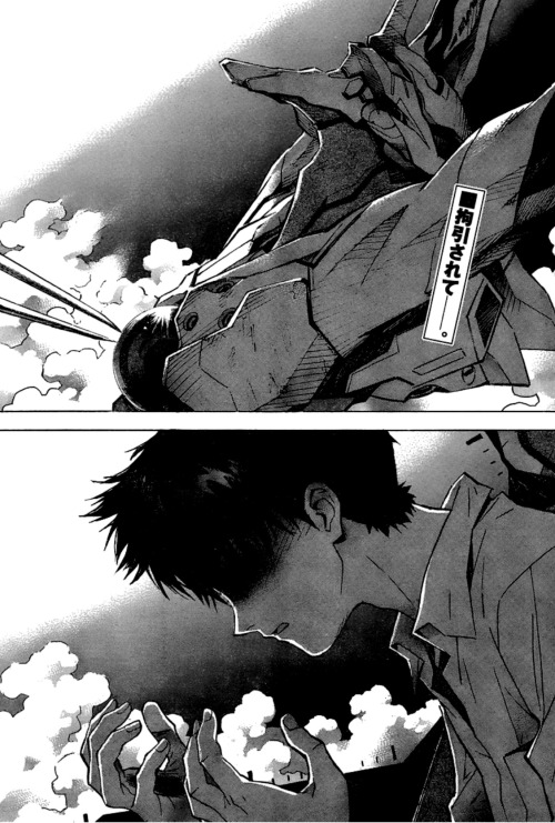 Another Eva Blog Neon Genesis Evangelion Manga Version