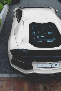 earthyday:  Aventador x Bas Fransen