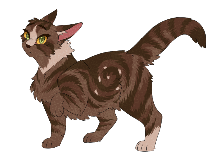 Remember when anime-style warrior cats were all the rage? Anyway, have an  anime Spottedleaf. : r/WarriorCats
