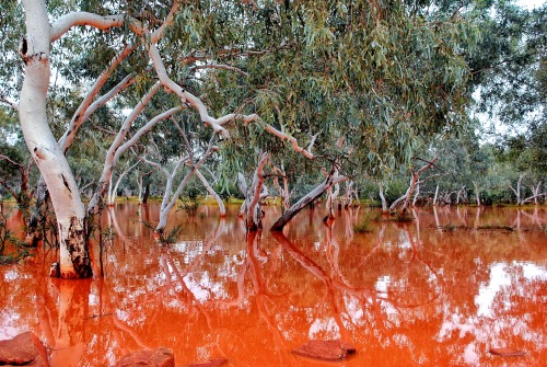 sob1:Fortescue River in Flood, West AustraliaEven if you are red/green colorblind…it’s not tough to 