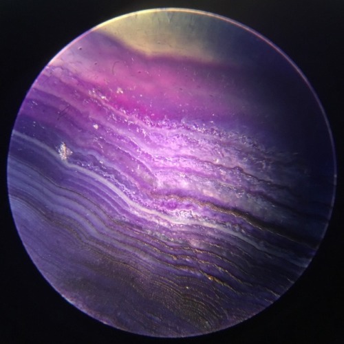 infinitetiny:Agate. For more microscopic content, follow me on IG @infinitetiny.