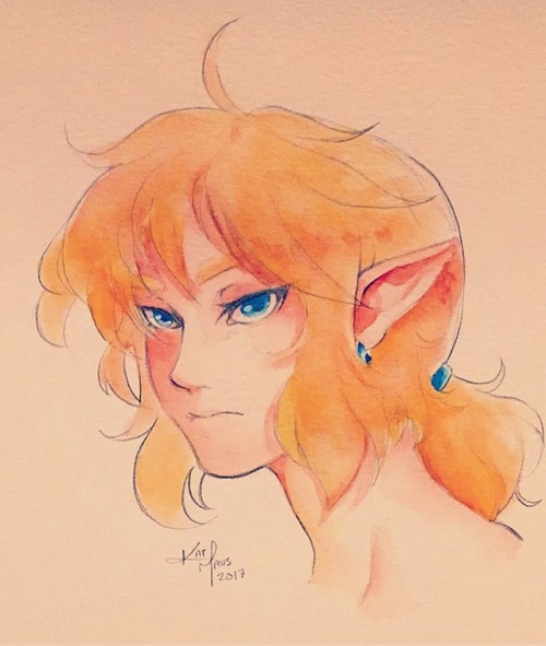 Watercolor Link! I just finished the main quest, I have minor complaints about the game but all in a